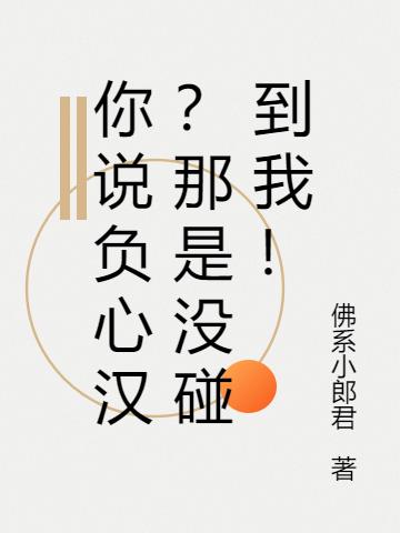 你说负心汉？那是没碰到我！