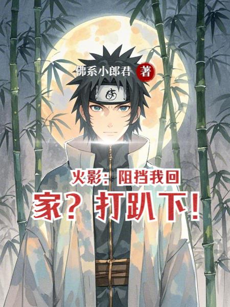 火影：阻挡我回家？打趴下！